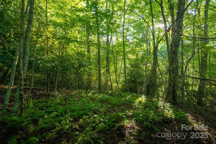 Image 30 of a home in . Image 30 of a home in .