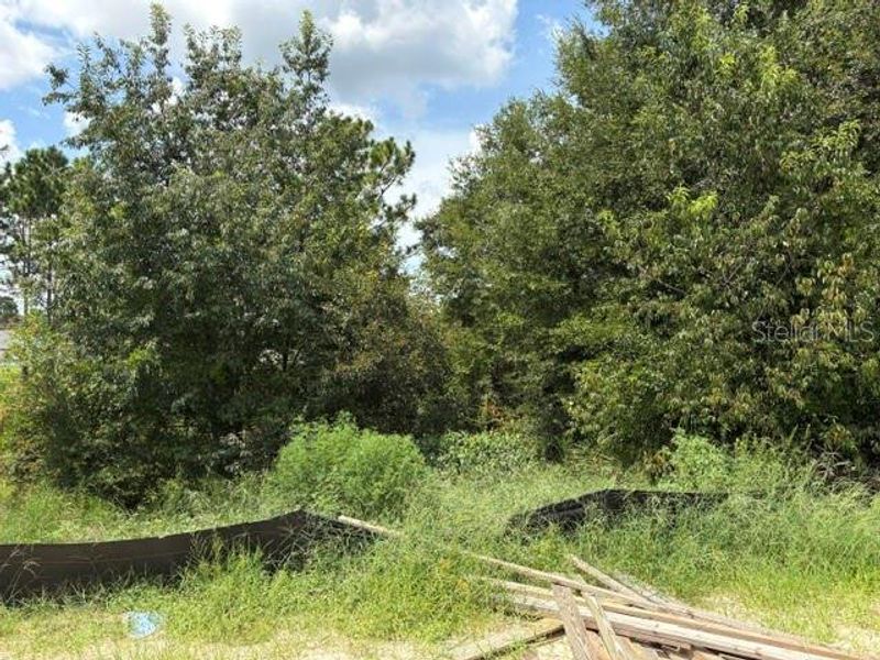 Natural landscape and outdoor views near Juliette Falls in Dunnellon (Image 13). Natural landscape and outdoor views near Juliette Falls in Dunnellon (Image 13).