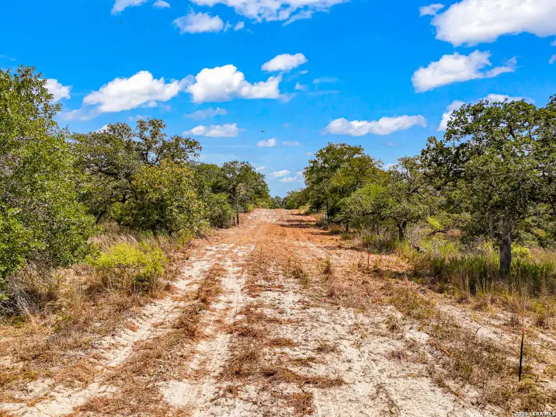 Natural landscape and outdoor views near  in Seguin (Image 30).