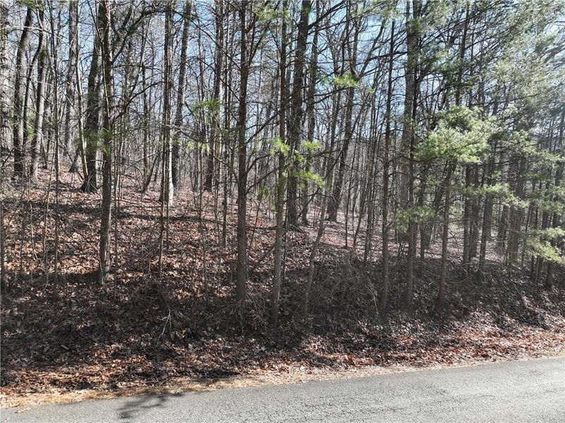 Image 13 of a home in .