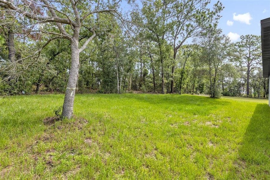 Natural landscape and outdoor views near  in Ocala (Image 34).