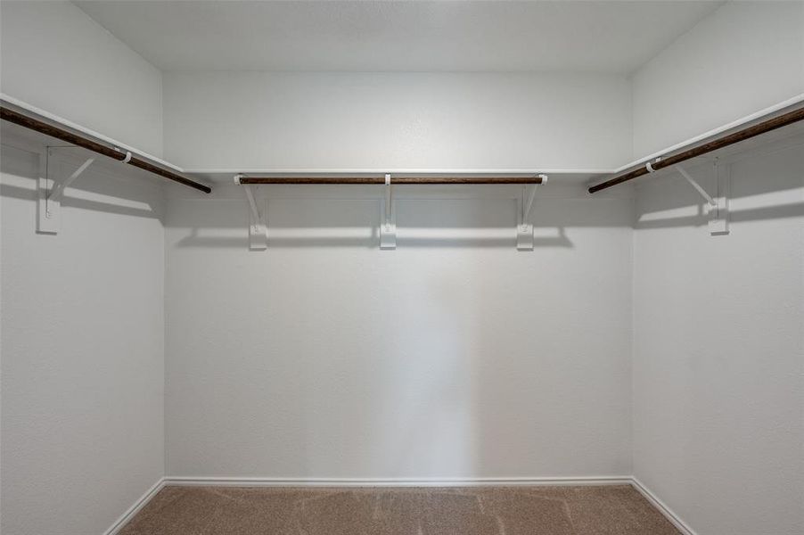 Spacious closet with carpet