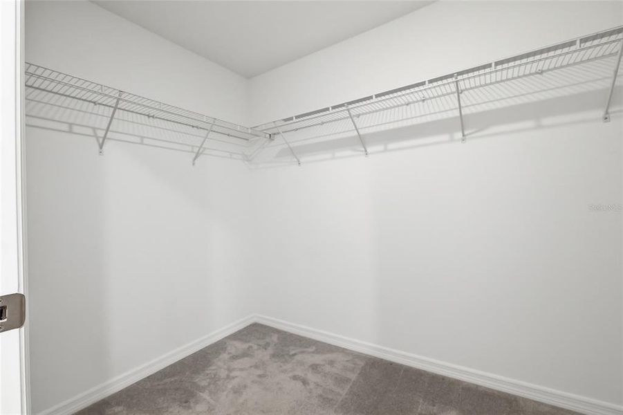 Spacious, unfurnished interior of a new home in , Zephyrhills (Image 32).