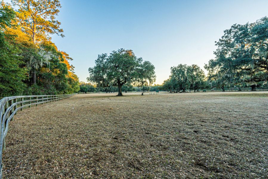 Natural landscape and outdoor views near in Dorchester (Image 47). Natural landscape and outdoor views near in Dorchester (Image 47).