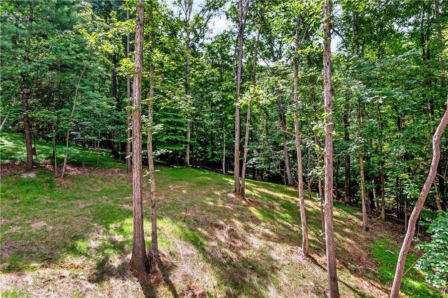 Natural landscape and outdoor views near in Ellijay (Image 41). Natural landscape and outdoor views near in Ellijay (Image 41).