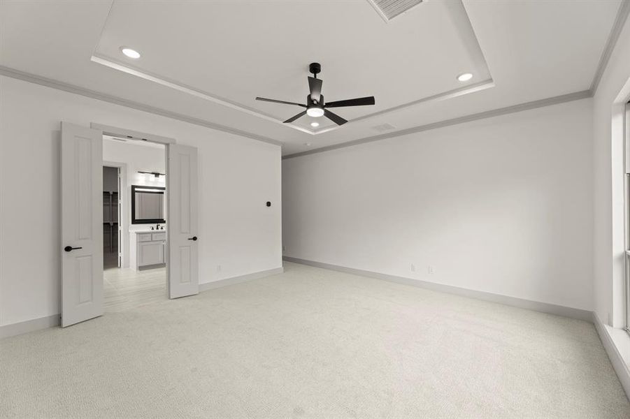 15. 903 Stellar - Primary (2)