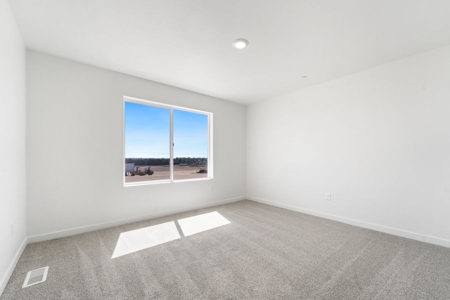 3836 Pinnacles Ct. - Owner's Suite