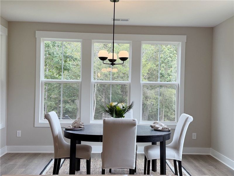 Furnished interior view inside a new home in Walker's Pointe, Anderson (Image 12).