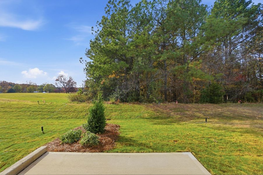 Natural landscape and outdoor views near Blythe Mill Townhomes in Waxhaw (Image 40). Natural landscape and outdoor views near Blythe Mill Townhomes in Waxhaw (Image 40).