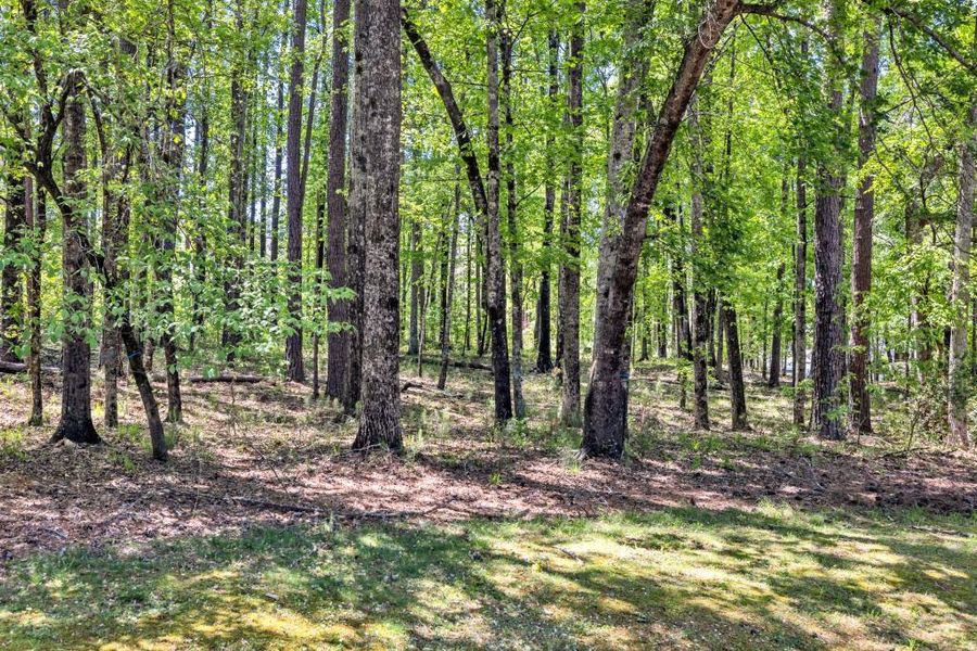 Natural landscape and outdoor views near  in Greensboro (Image 8).
