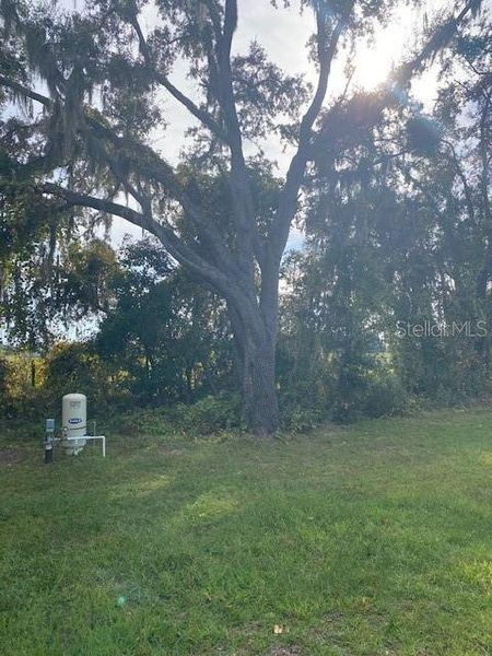 Natural landscape and outdoor views near  in Ocklawaha (Image 43).