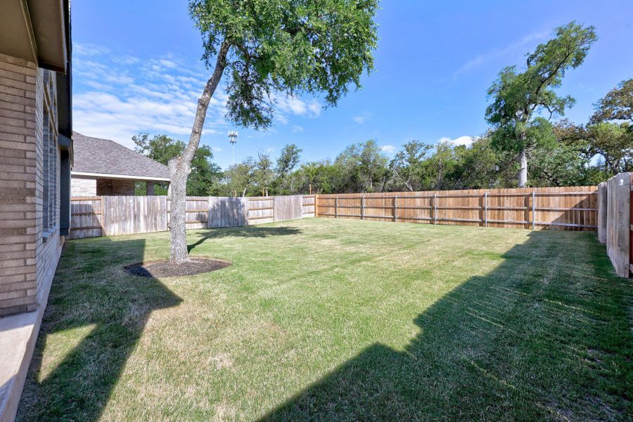 View of fenced backyard