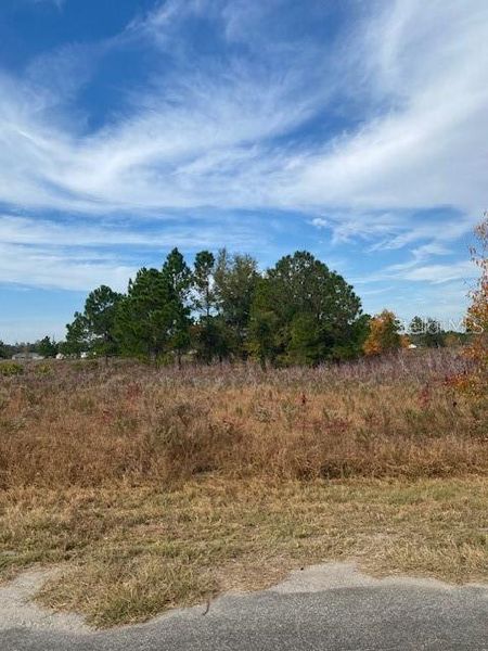 Natural landscape and outdoor views near  in Ocklawaha (Image 46).