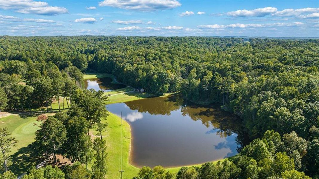 Natural landscape and outdoor views near Parkside at Carter Grove in Cartersville (Image 32).