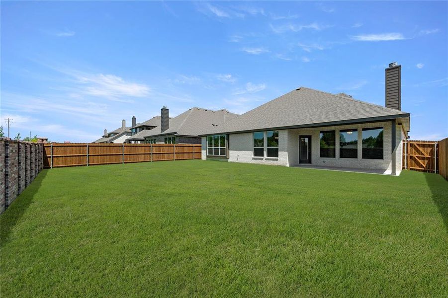 709 Seahawk- Back-1 709 Seahawk- Back-1