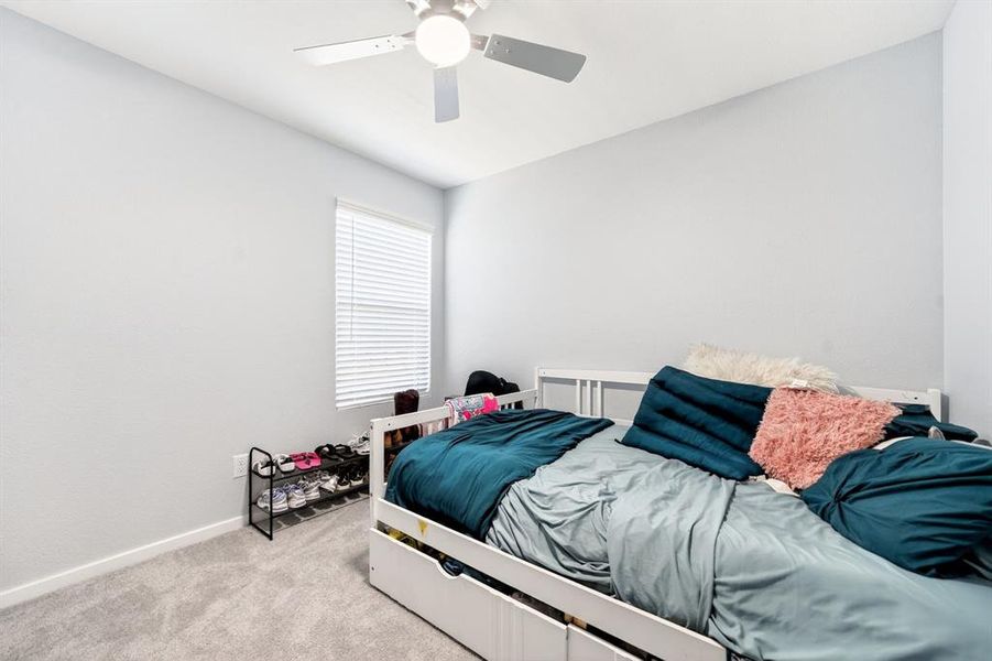 Carpeted bedroom featuring light gray walls and a single window with horizontal blinds