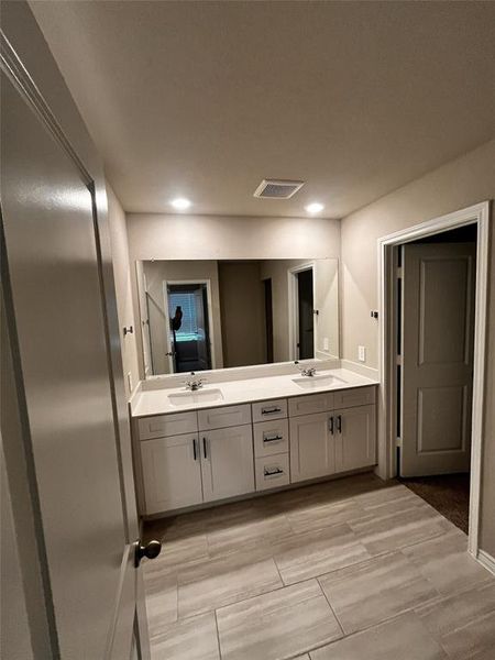 Primary Bath Vanity
