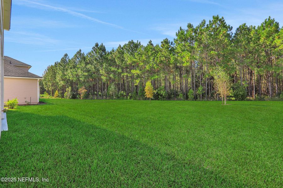 Natural landscape and outdoor views near Silver Landing at SilverLeaf in St. Augustine (Image 50). Natural landscape and outdoor views near Silver Landing at SilverLeaf in St. Augustine (Image 50).