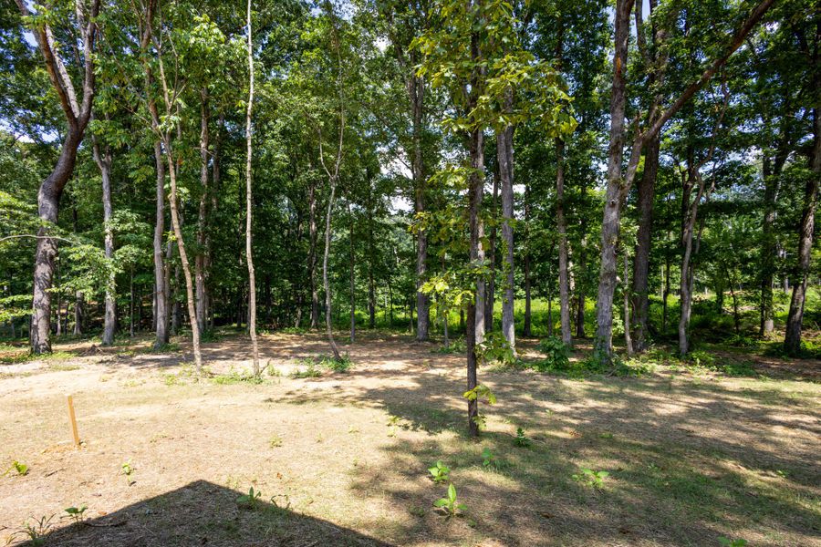Image 40 of a home in Woodland Farms. Image 40 of a home in Woodland Farms.