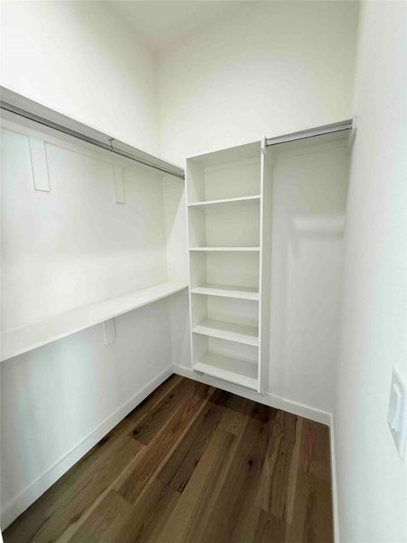 Walk in closet featuring dark wood-style flooring