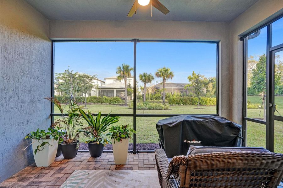 Screened Patio