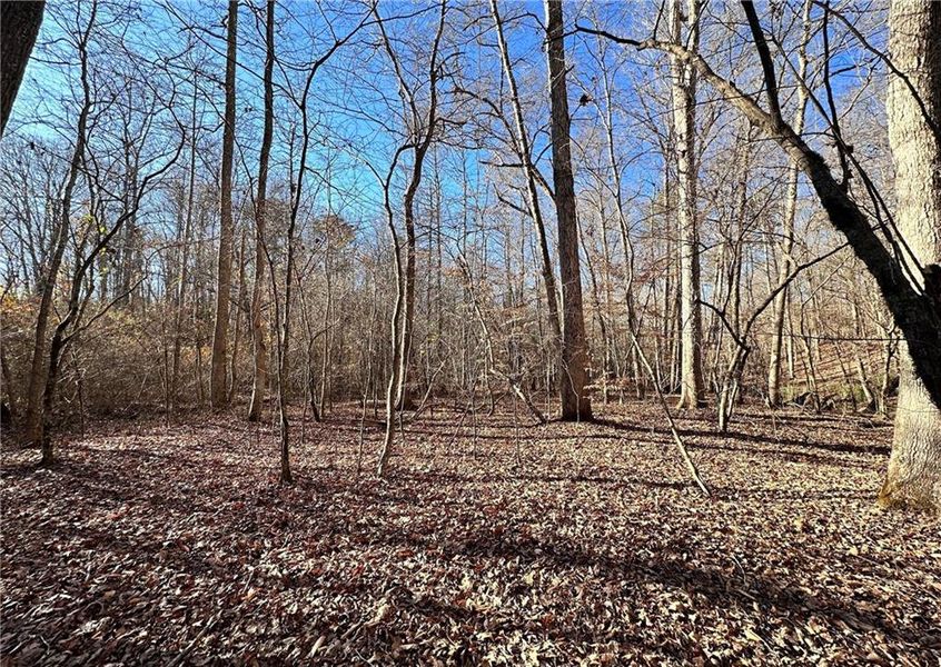 Natural landscape and outdoor views near  in Cumming (Image 24).