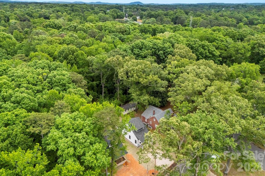 Natural landscape and outdoor views near  in Albemarle (Image 32).