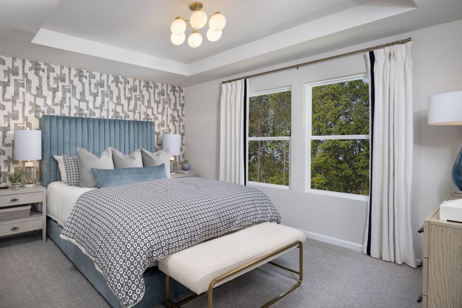 Amira Model Owner's Suite