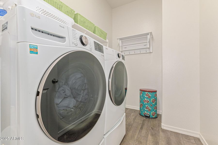 31-San Tan 31-San Tan