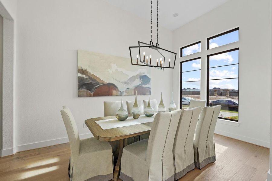 Representation of spacious dining room Representation of spacious dining room