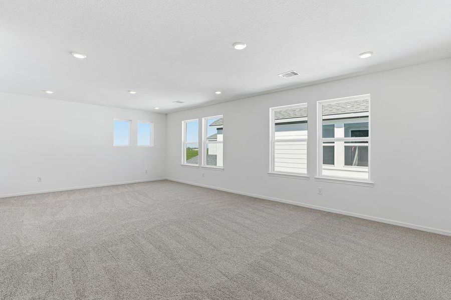 615 Yaupon Holly ~ Ready Now 615 Yaupon Holly ~ Ready Now