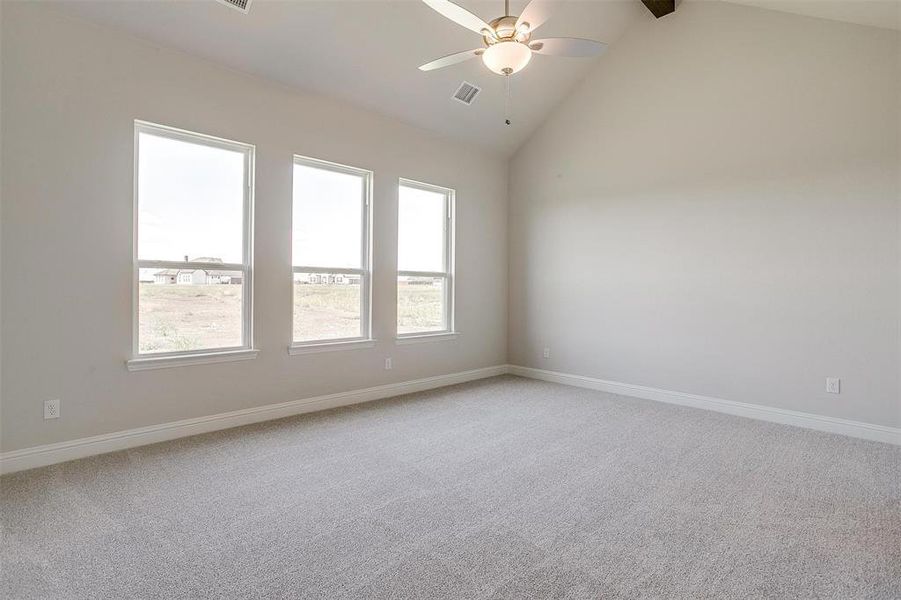 Spare room featuring carpet, high vaulted ceiling, ceiling fan, and plenty of natural light