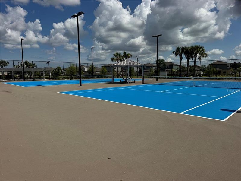 Community amenities in Prosperity Lakes, Parrish (Image 26).