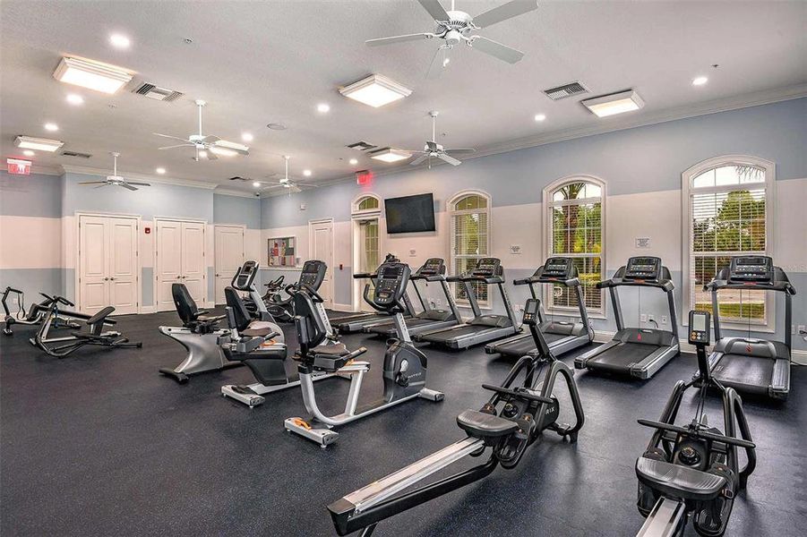 Community amenities in Grand Palm, Venice (Image 4). Community amenities in Grand Palm, Venice (Image 4).