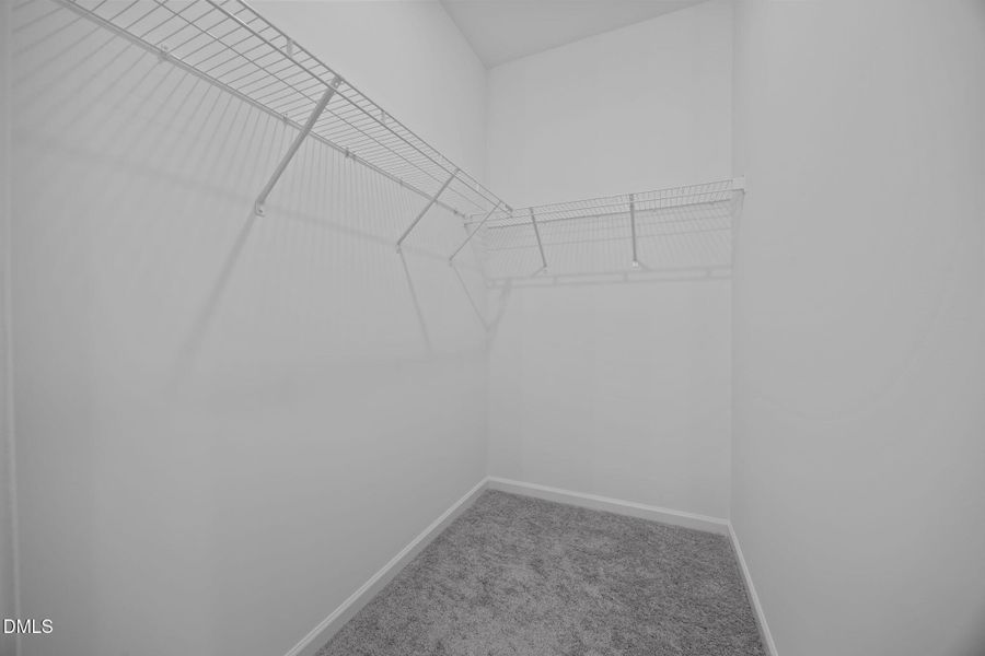 13-web-or-mls-6S8A4129