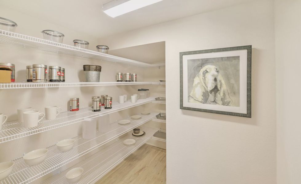 Close-up of interior finishes inside a home in Nocatee, Ponte Vedra (Image 19). Close-up of interior finishes inside a home in Nocatee, Ponte Vedra (Image 19).