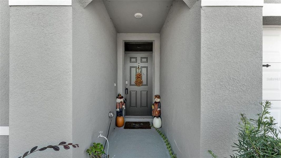 Exterior details and patio area of a home in Wind Meadows South, Bartow (Image 18).