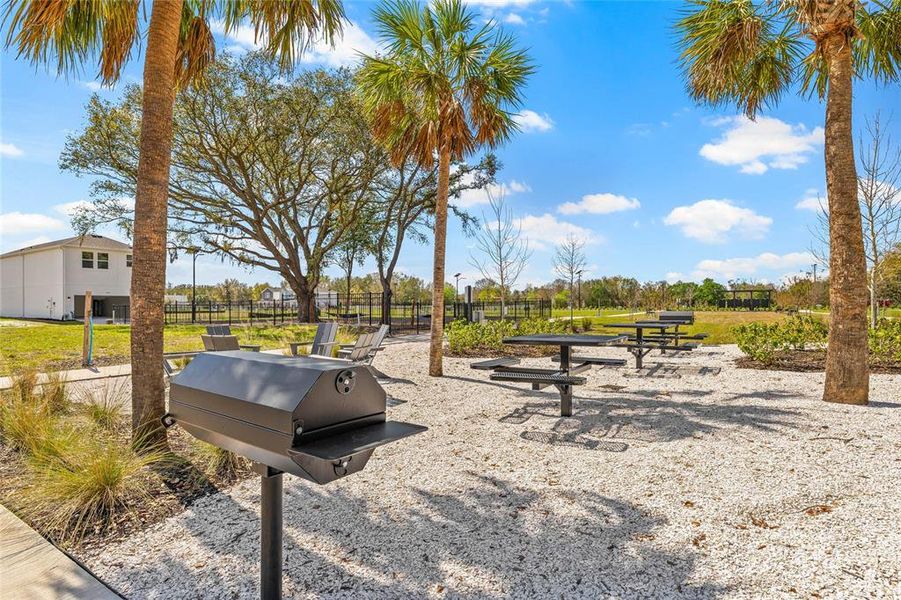 Community amenities in Vivir, Valrico (Image 10).