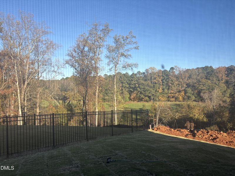 Photo_Nov_04_25 03-52-12 PM Photo_Nov_04_25 03-52-12 PM