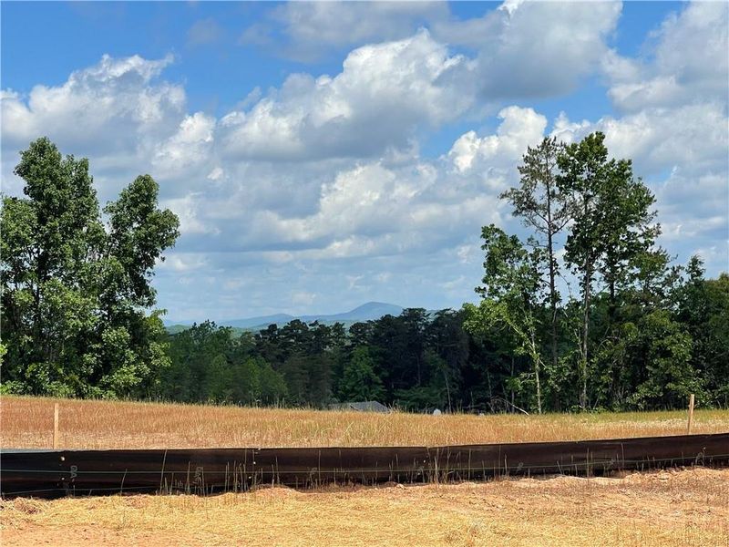 Site preparation for new homesites in , Gainesville (Image 46).