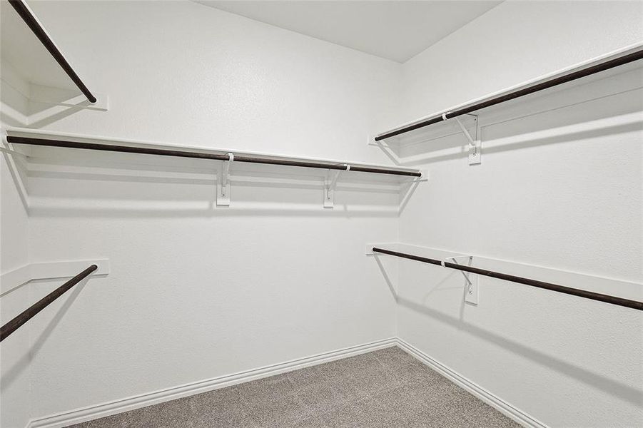 Spacious closet with carpet floors