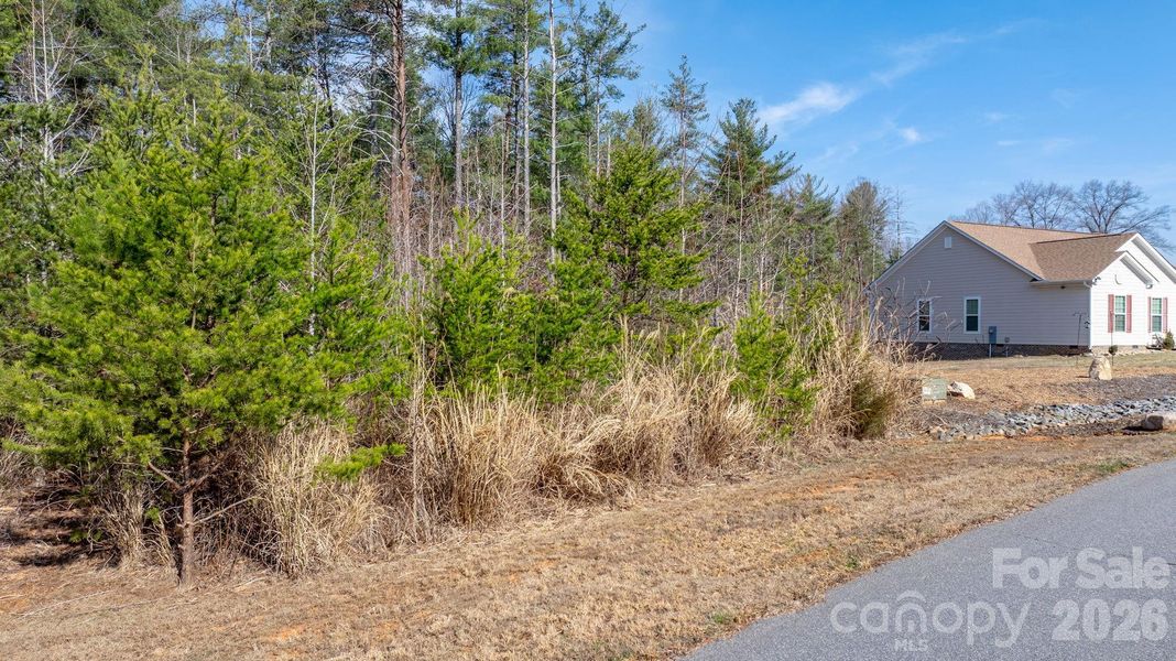 Natural landscape and outdoor views near  in Morganton (Image 11).