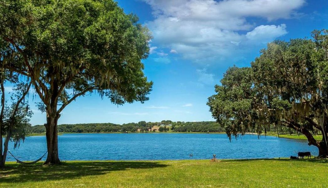 Natural landscape and outdoor views near  in Dade City (Image 10).