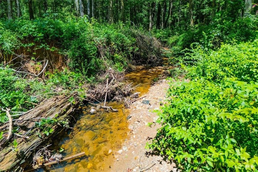 Natural landscape and outdoor views near  in Bowdon (Image 29).