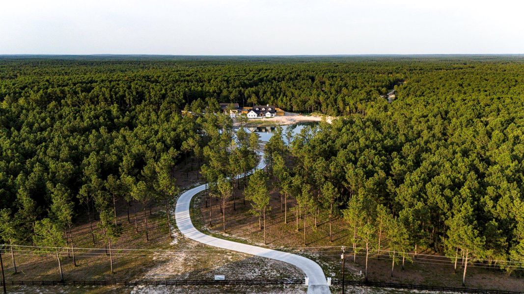 Natural landscape and outdoor views near  in Onalaska (Image 37).