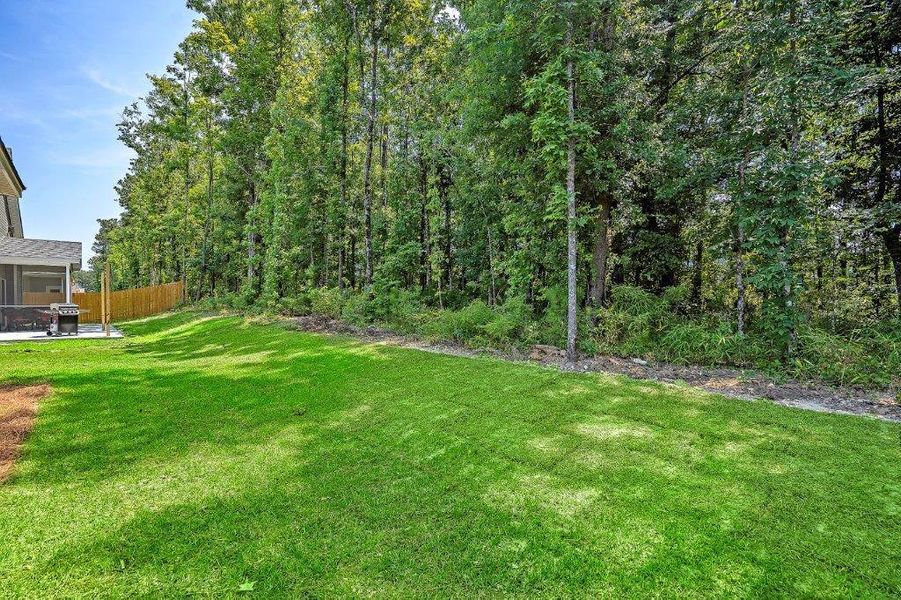 Natural landscape and outdoor views near Creek Pointe in Moncks Corner (Image 23).