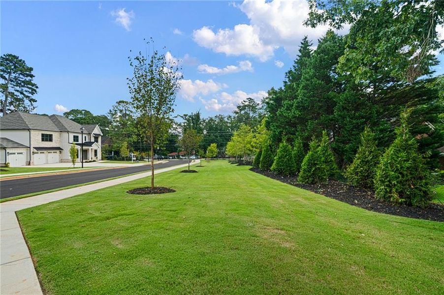 Natural landscape and outdoor views near  in Atlanta (Image 52).