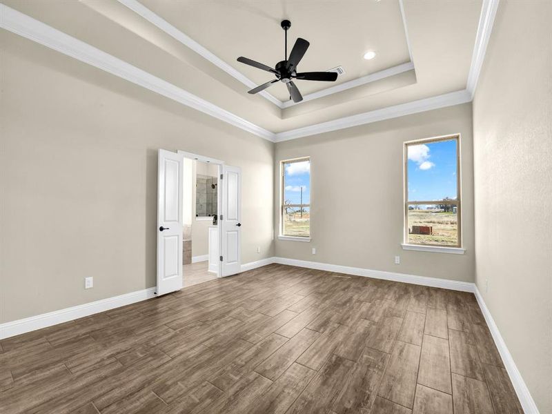 Spare room featuring ceiling fan, a tray ceiling, crown molding, and plenty of natural light