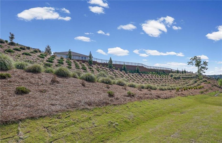 Natural landscape and outdoor views near Del Webb at Lake Oconee in Greensboro (Image 22).