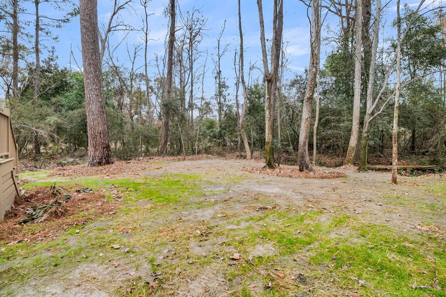 Natural landscape and outdoor views near  in Summerville (Image 34).